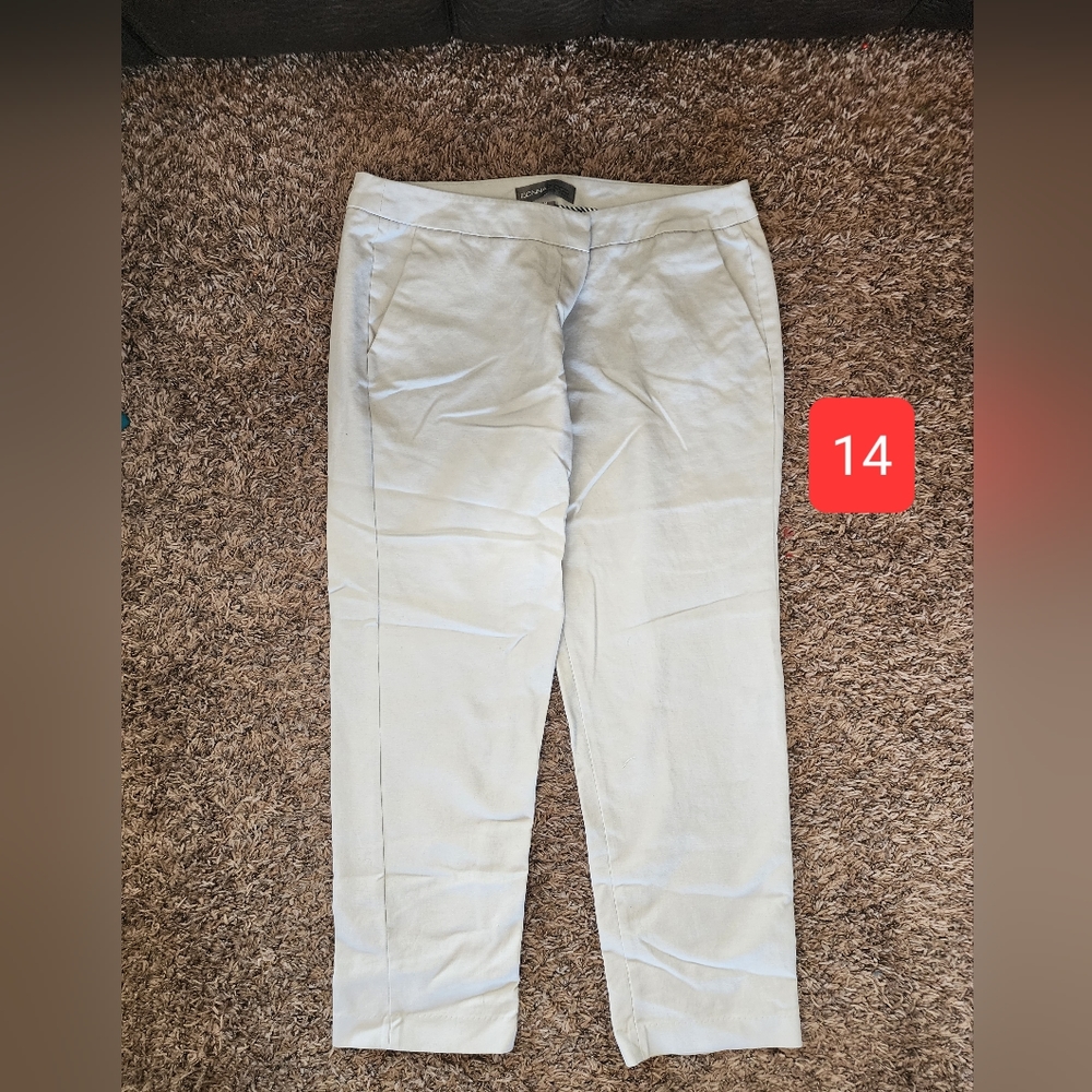 Dress Pants